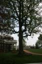 Side view of Monticello