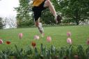 Kent jumping over flowers
